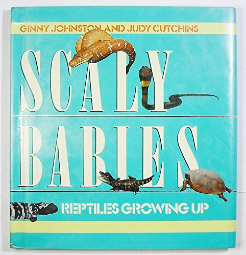 Beispielbild fr Scaly Babies: Reptiles Growing Up zum Verkauf von Wonder Book