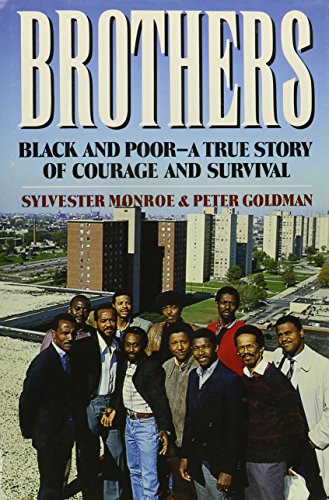 Imagen de archivo de Brothers: Black and Poor a True Story of Courage and Survival (Newsweek Book) a la venta por Henry E. Lehrich