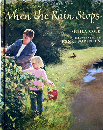 Stock image for When the Rain Stops for sale by Once Upon A Time Books