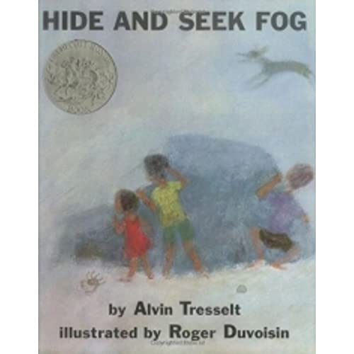 9780688078133: Hide and Seek Fog