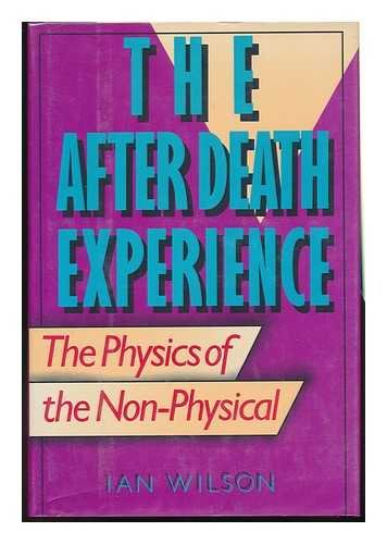 Imagen de archivo de The After Death Experience : The Physics of the Non-Physical a la venta por Better World Books: West