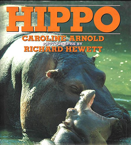 Beispielbild fr Hippo zum Verkauf von Better World Books