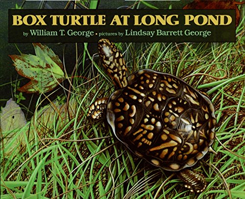 Stock image for Box Turtle at Long Pond for sale by ThriftBooks-Dallas