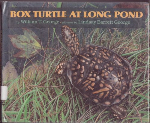 Stock image for Box Turtle at Long Pond for sale by Half Price Books Inc.