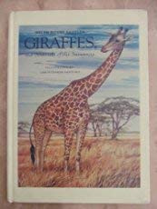 Stock image for Giraffes the Sentinels of the Savannas for sale by Irish Booksellers