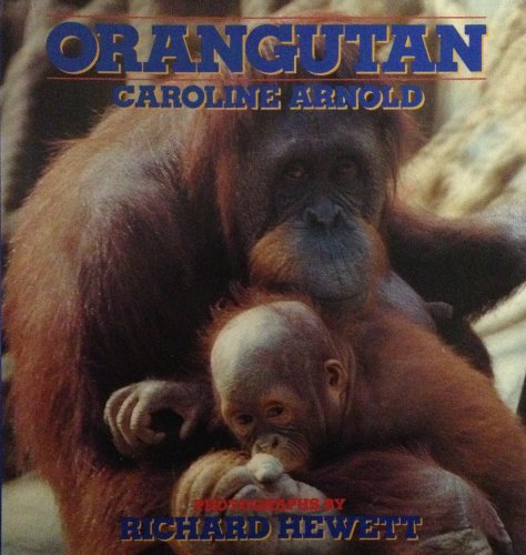 Beispielbild fr Orangutan zum Verkauf von BookHolders