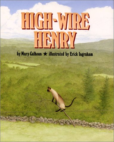 Stock image for High-Wire Henry for sale by SecondSale