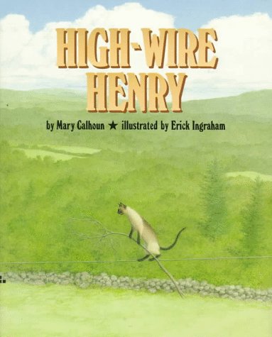 High Wire Henry (9780688089849) by Calhoun, Mary