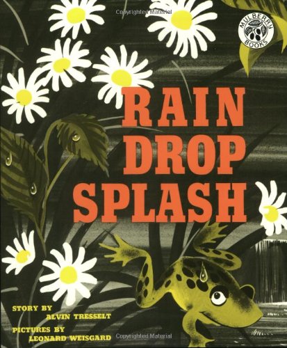 9780688093525: Rain Drop Splash