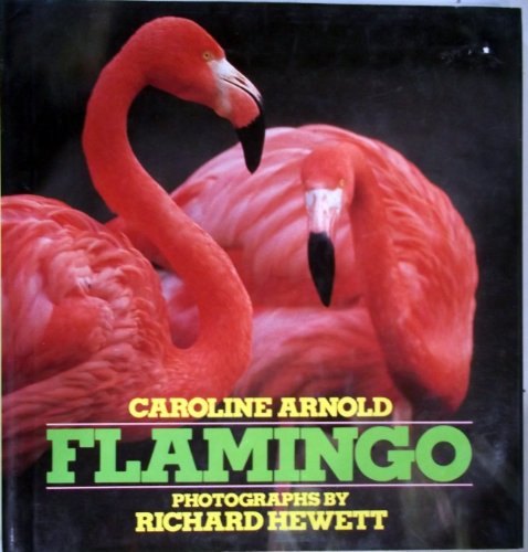 Imagen de archivo de Flamingo a la venta por POQUETTE'S BOOKS