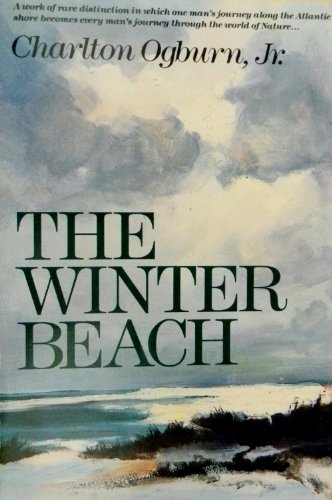 Stock image for The Winter Beach for sale by Better World Books