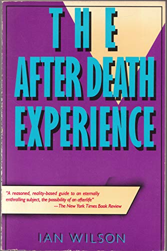 Beispielbild fr The After Death Experience : The Physics of the Non-Physical zum Verkauf von Better World Books