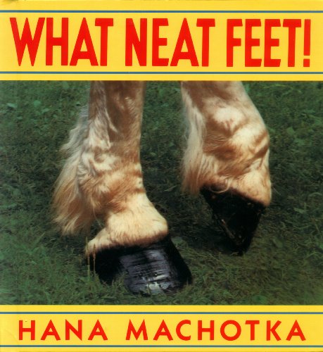 Stock image for What Neat Feet! for sale by Better World Books: West