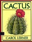 Stock image for Cactus for sale by Better World Books