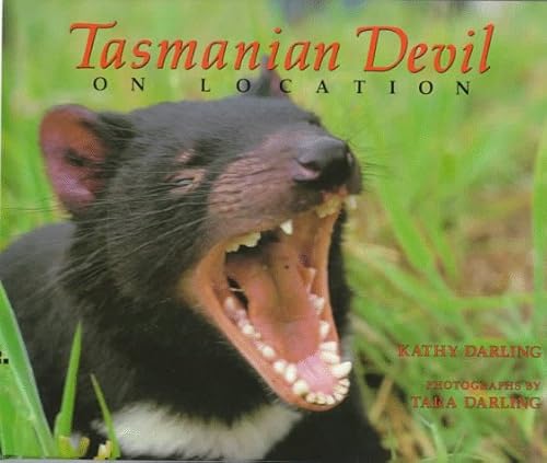 Imagen de archivo de Tasmanian Devil : On Location a la venta por Better World Books