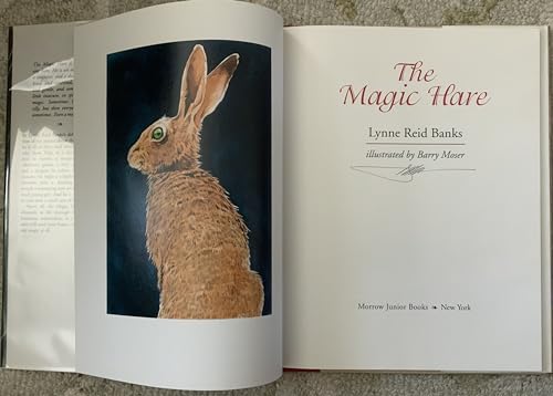 Stock image for The Magic Hare for sale by SecondSale