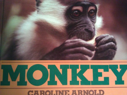 Imagen de archivo de Monkey a la venta por Eagle Valley Books