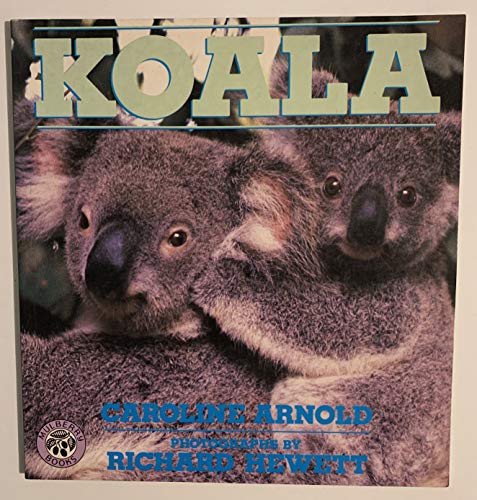 Beispielbild fr Koala zum Verkauf von Wonder Book