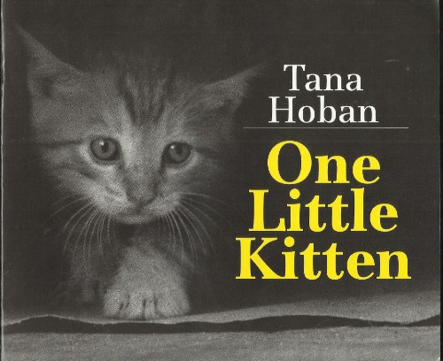 One Little Kitten (9780688115067) by Hoban, Tana