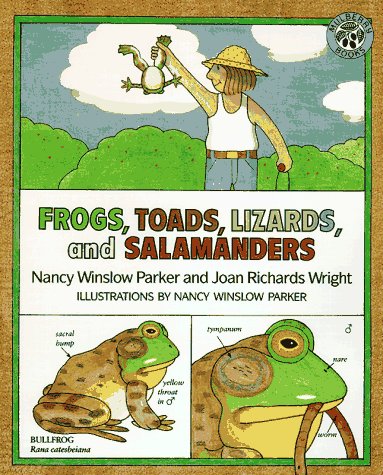 Beispielbild fr Frogs, Toads, Lizards and Salamanders zum Verkauf von Better World Books