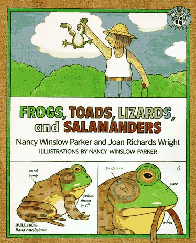 Stock image for Frogs, Toads, Lizards and Salamanders for sale by Better World Books