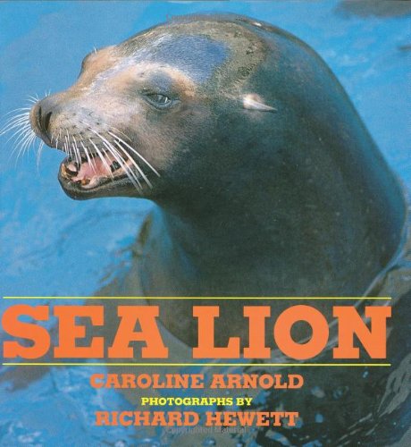 Beispielbild fr Sea Lion zum Verkauf von SecondSale
