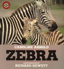 Beispielbild fr Zebra zum Verkauf von Better World Books