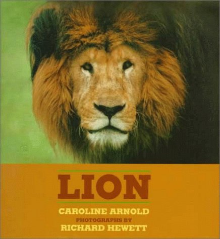 Stock image for Lion for sale by Better World Books