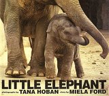 Imagen de archivo de Little Elephant a la venta por ThriftBooks-Dallas