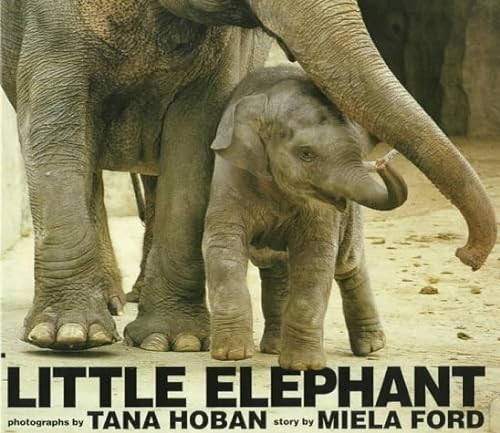 Imagen de archivo de Little Elephant a la venta por ThriftBooks-Atlanta