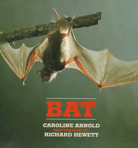 Bat (9780688137267) by Arnold, Caroline