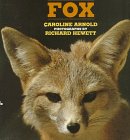 Stock image for Fox for sale by Library House Internet Sales