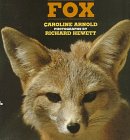 Stock image for Fox for sale by Better World Books