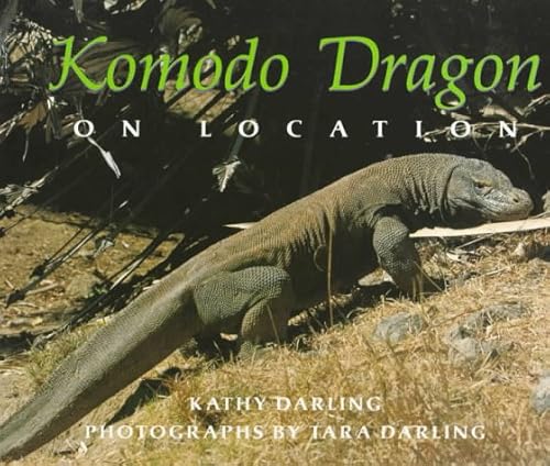 Komodo Dragon on Location.