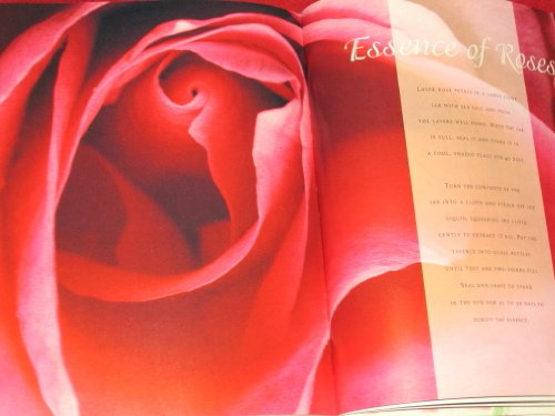 Stock image for At Home with Roses: Patterns, Petals & Prints to Adorn Every Room for sale by ThriftBooks-Atlanta