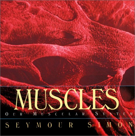 Muscles: Our Muscular System (9780688146436) by Simon, Seymour