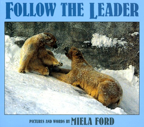 Imagen de archivo de Follow the Leader a la venta por ThriftBooks-Atlanta
