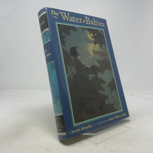 Immagine stock per The Water-Babies