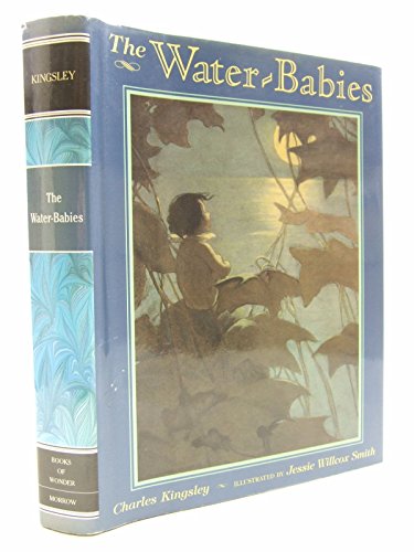 Stock image for The Water-Babies for sale by Better World Books