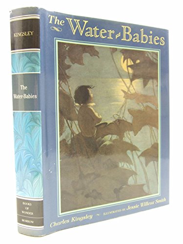 Stock image for The Water-Babies (Books of Wonder) for sale by Ergodebooks