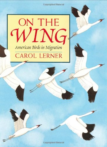 9780688166502: On the Wing: American Birds in Migration