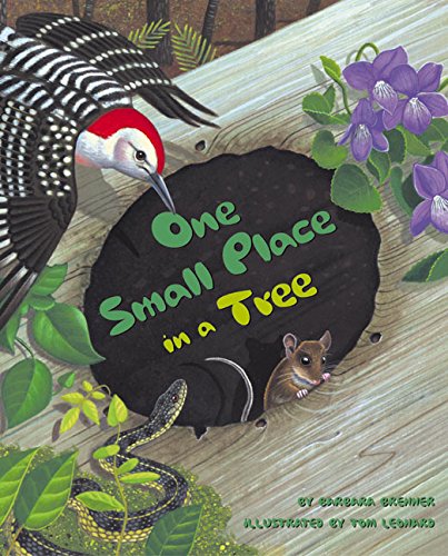 Beispielbild fr One Small Place in a Tree (Outstanding Science Trade Books for Students K-12) zum Verkauf von SecondSale