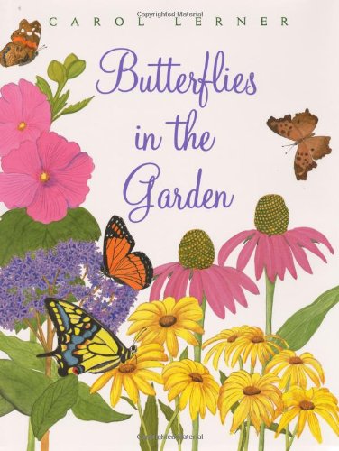 Beispielbild fr Butterflies in the Garden zum Verkauf von Better World Books