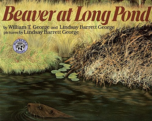 9780688175191: Beaver at Long Pond
