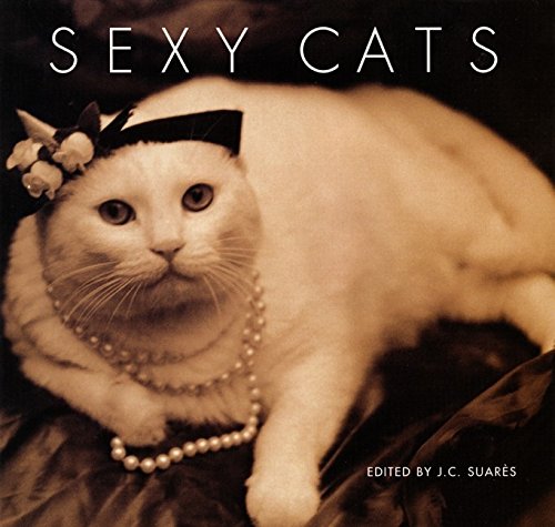 Beispielbild fr Sexy Cats zum Verkauf von Wonder Book