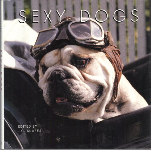 Beispielbild fr Sexy Dogs zum Verkauf von More Than Words