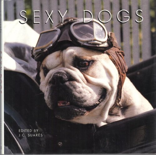 Imagen de archivo de Sexy Dogs a la venta por More Than Words