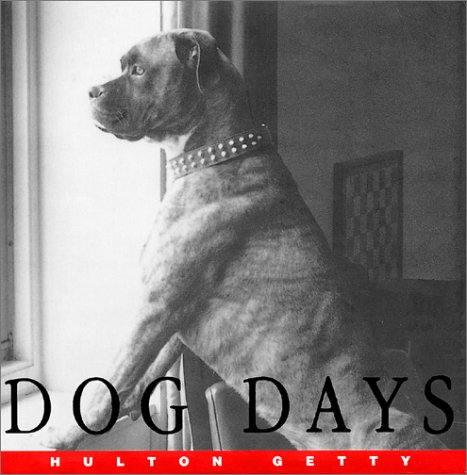 Beispielbild fr Dog Days: A Photographic Celebration zum Verkauf von HPB-Diamond