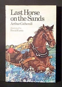 Imagen de archivo de Last horse on the sands a la venta por Half Price Books Inc.