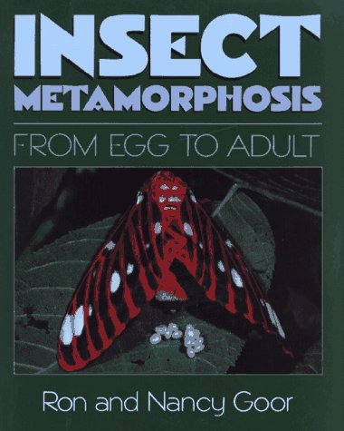 9780689314452: Insect Metamorphosis: From Egg to Adult